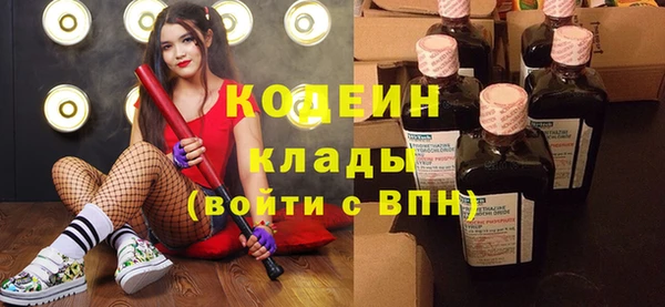 хмурый Нея