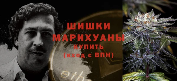 сатива Каменногорск